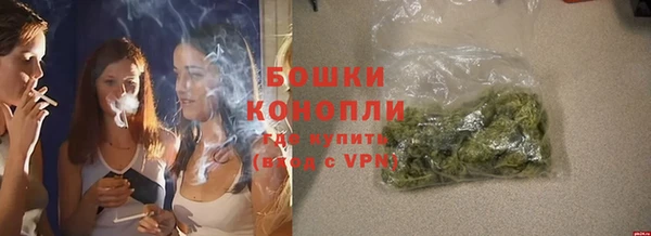ГАЛЛЮЦИНОГЕННЫЕ ГРИБЫ Белоозёрский