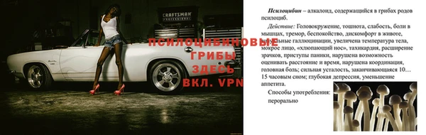 ГАЛЛЮЦИНОГЕННЫЕ ГРИБЫ Белоозёрский