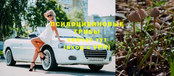 ГАЛЛЮЦИНОГЕННЫЕ ГРИБЫ Белоозёрский