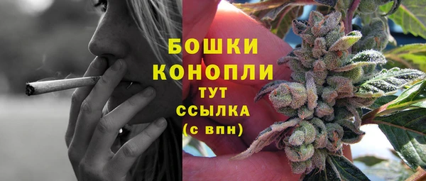 ГАЛЛЮЦИНОГЕННЫЕ ГРИБЫ Белоозёрский