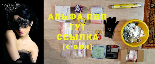 ГАЛЛЮЦИНОГЕННЫЕ ГРИБЫ Белоозёрский