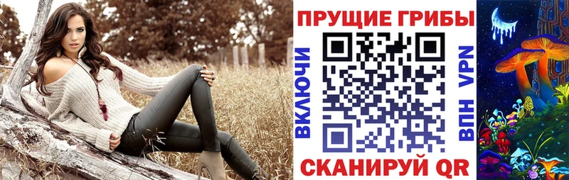 Галлюциногенные грибы мухоморы  Гатчина 
